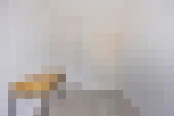 Hoefijzer 76 Zwaag thumbnail 34