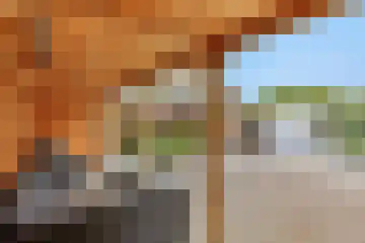Hoefijzer 76 Zwaag thumbnail 39