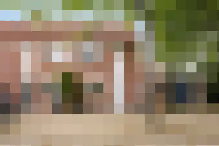 Hoefijzer 76 Zwaag thumbnail 4