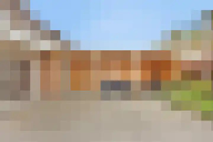 Hoefijzer 76 Zwaag thumbnail 40