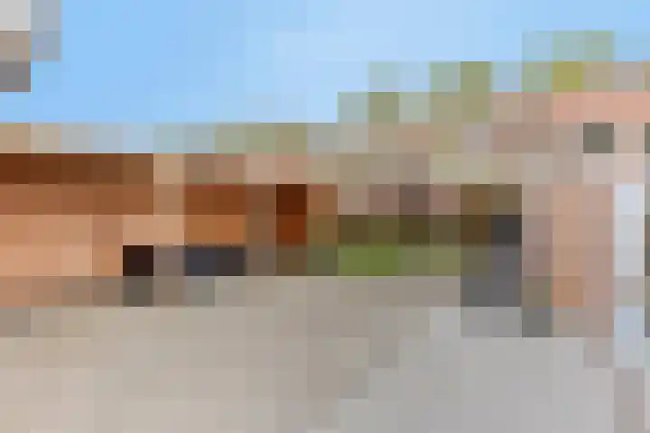 Hoefijzer 76 Zwaag thumbnail 41
