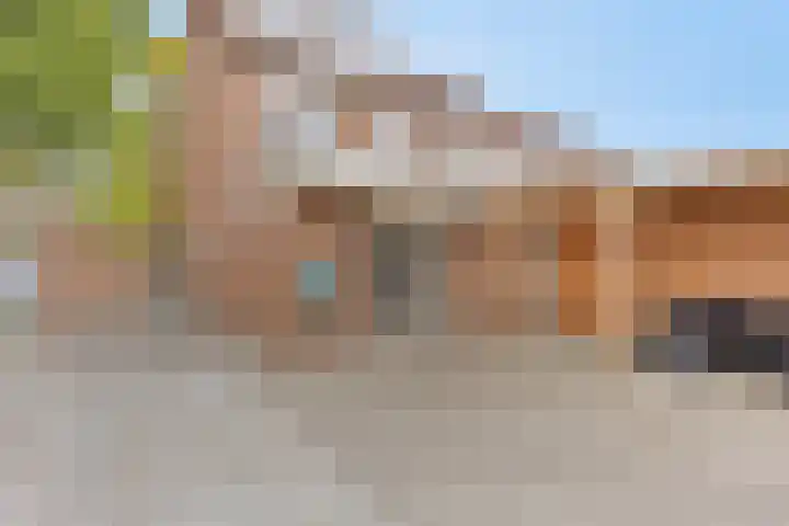 Hoefijzer 76 Zwaag thumbnail 42