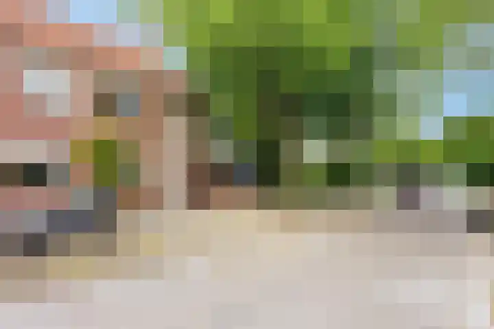 Hoefijzer 76 Zwaag thumbnail 5