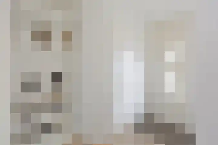 Hoefijzer 76 Zwaag thumbnail 7