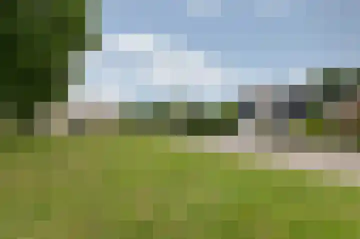 Hoefijzer 8 Didam thumbnail 11