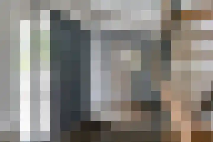 Hoefijzer 8 Didam thumbnail 16