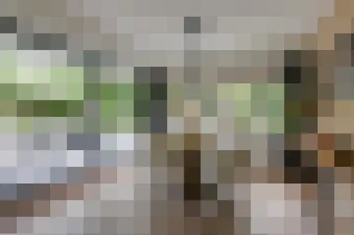 Hoefijzer 8 Didam thumbnail 19
