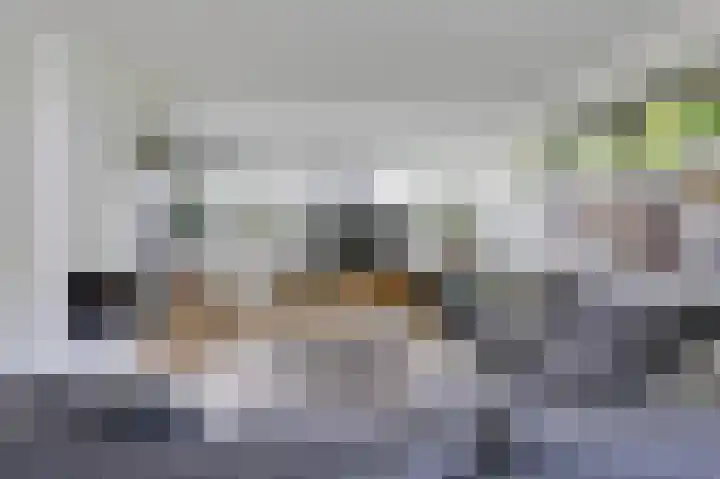 Hoefijzer 8 Didam thumbnail 23