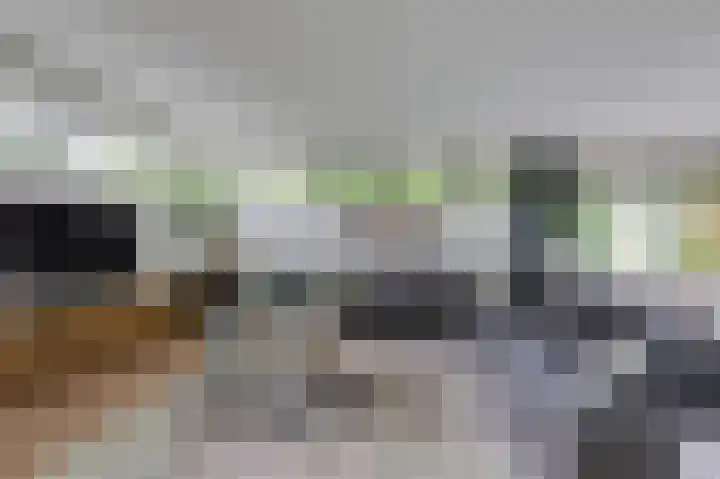 Hoefijzer 8 Didam thumbnail 24
