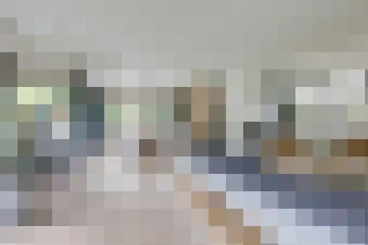 Hoefijzer 8 Didam thumbnail 28