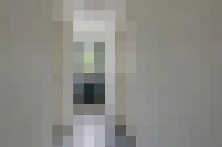 Hoefijzer 8 Didam thumbnail 32