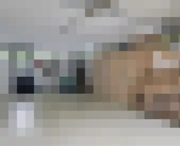 Hoefijzer 8 Didam thumbnail 36