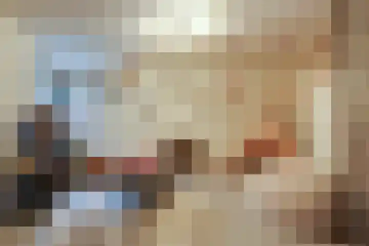 Hoefijzer 8 Didam thumbnail 39