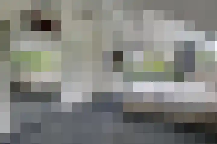 Hoefijzer 8 Didam thumbnail 46