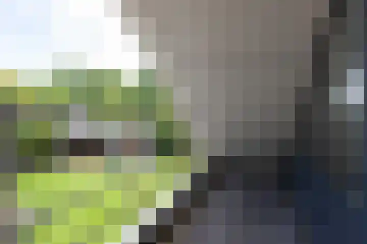 Hoefijzer 8 Didam thumbnail 48