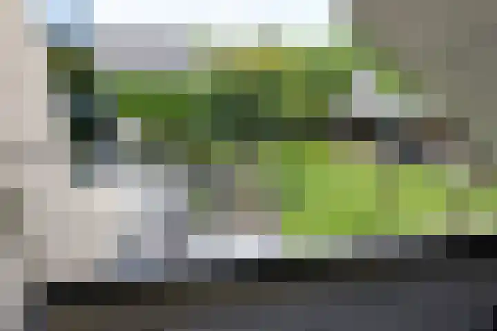 Hoefijzer 8 Didam thumbnail 49