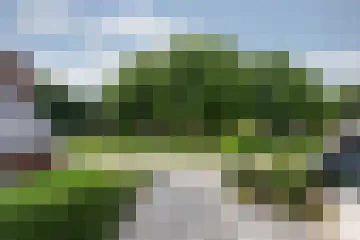 Hoefijzer 8 Didam thumbnail 51
