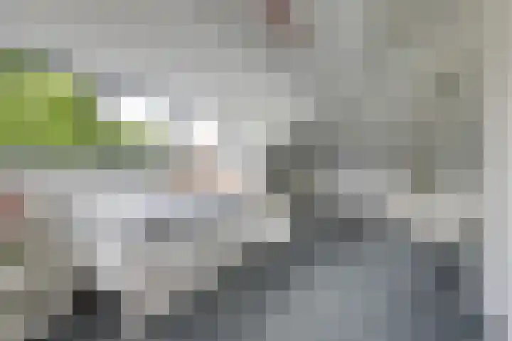 Hoefijzer 8 Didam thumbnail 52
