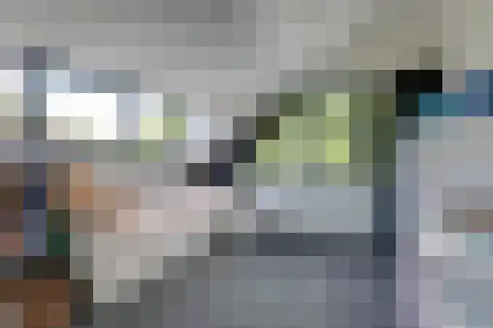 Hoefijzer 8 Didam thumbnail 56