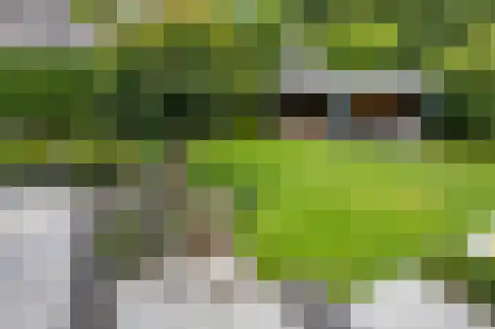Hoefijzer 8 Didam thumbnail 57