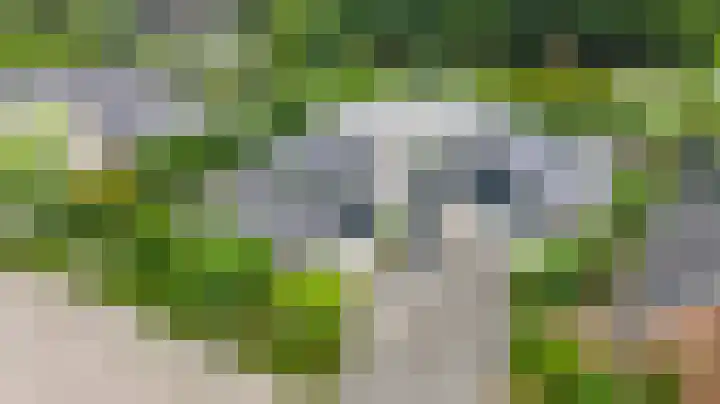 Hoefijzer 8 Didam thumbnail 6