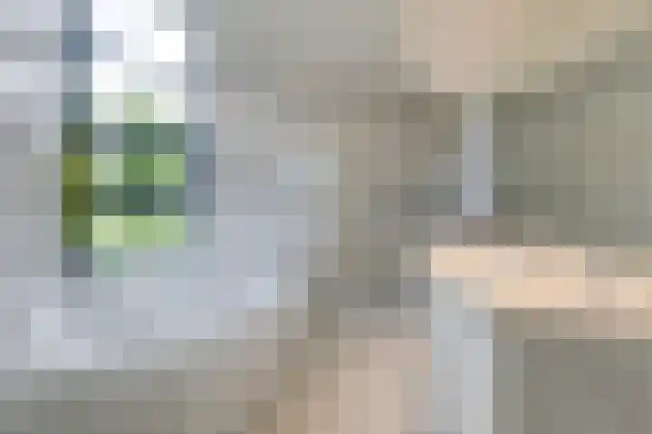 Hoefijzer 8 Didam thumbnail 60