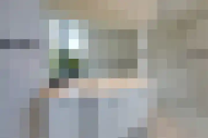 Hoefijzer 8 Didam thumbnail 63