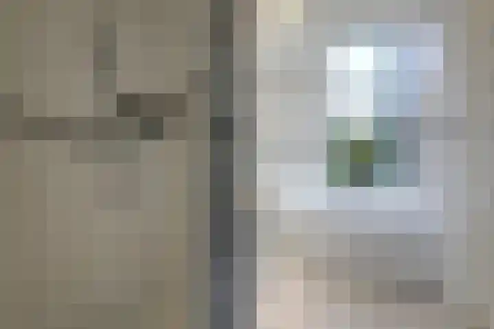 Hoefijzer 8 Didam thumbnail 64
