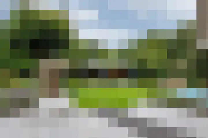 Hoefijzer 8 Didam thumbnail 76