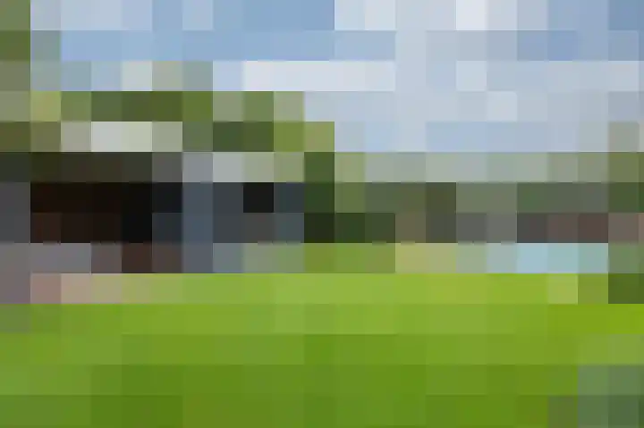 Hoefijzer 8 Didam thumbnail 77