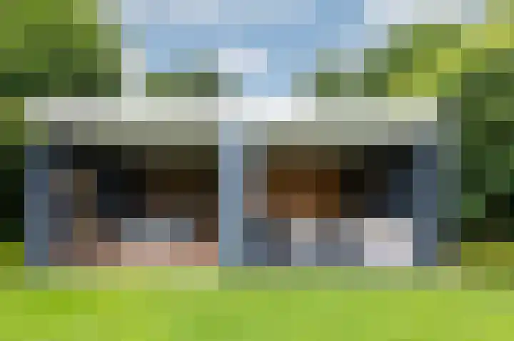 Hoefijzer 8 Didam thumbnail 78
