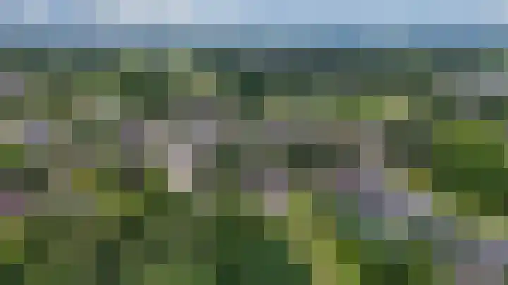 Hoefijzer 8 Didam thumbnail 8