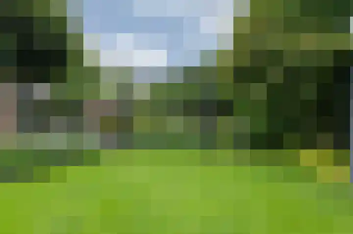 Hoefijzer 8 Didam thumbnail 81