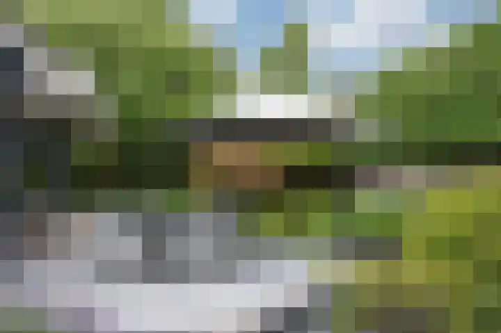 Hoefijzer 8 Didam thumbnail 83