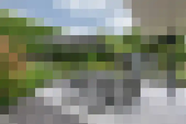 Hoefijzer 8 Didam thumbnail 85