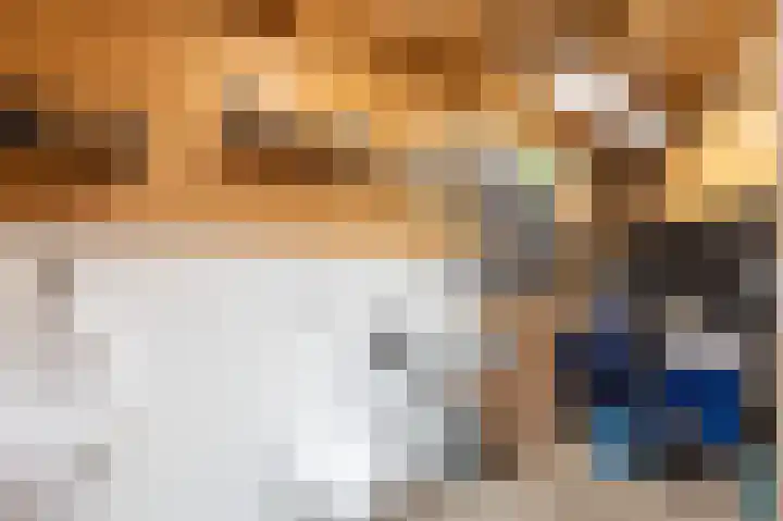Hoefijzer 8 Didam thumbnail 88