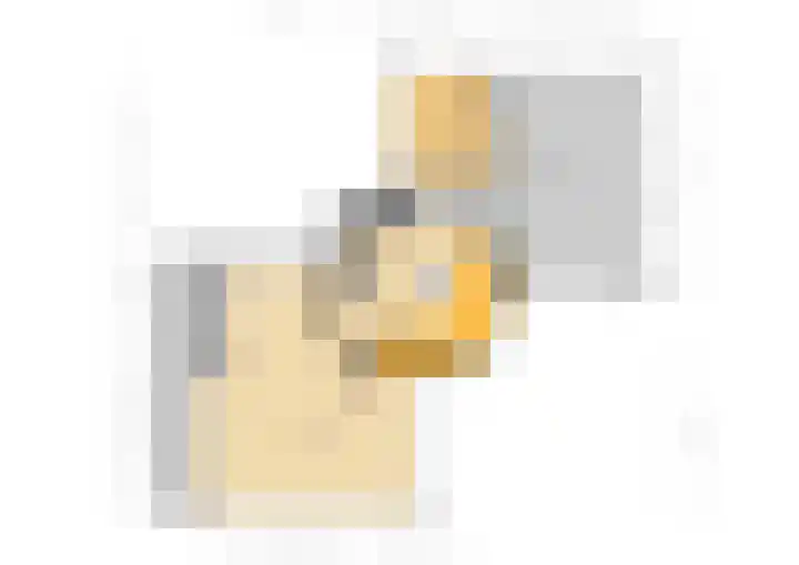 Hoefijzer 8 Didam thumbnail 90
