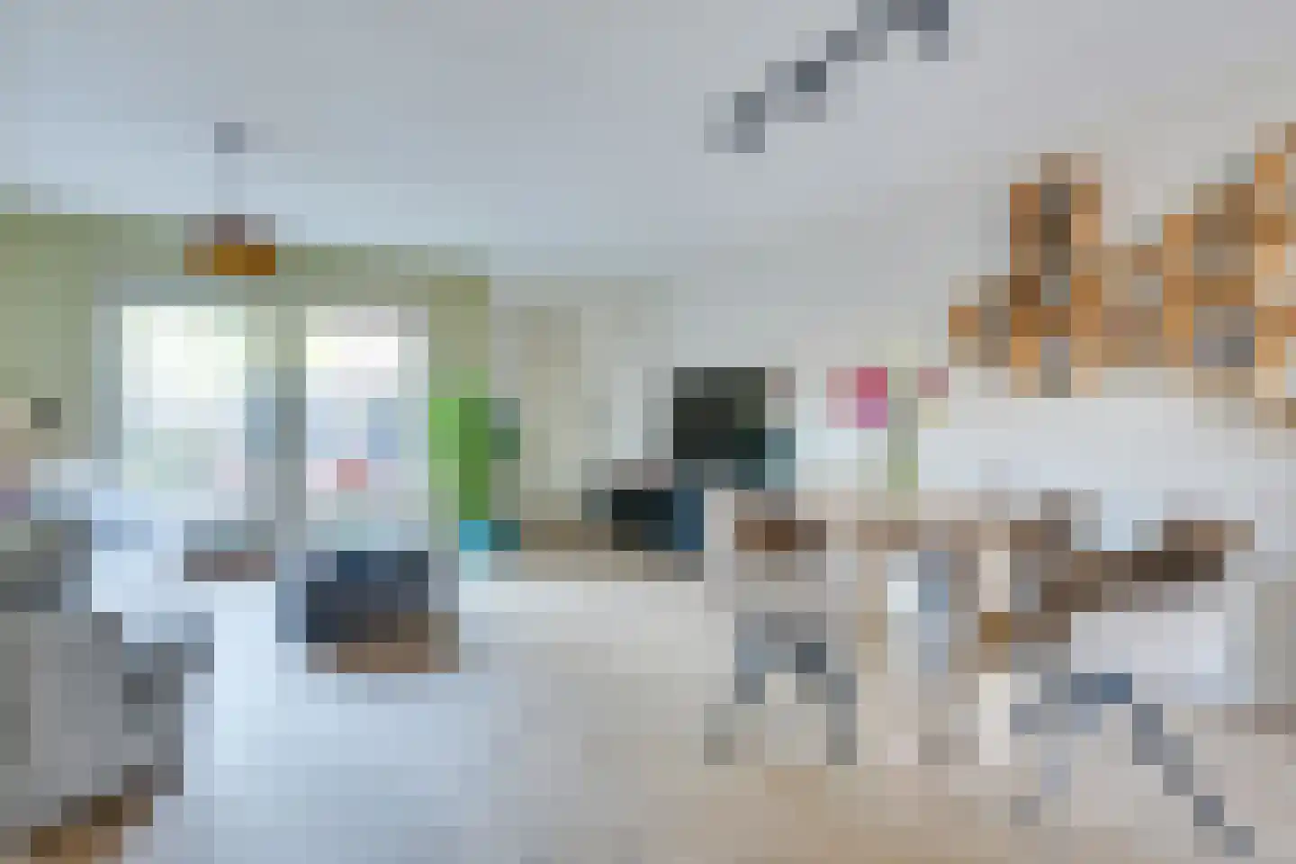 Hoefijzer 92 Zwaag thumbnail 10