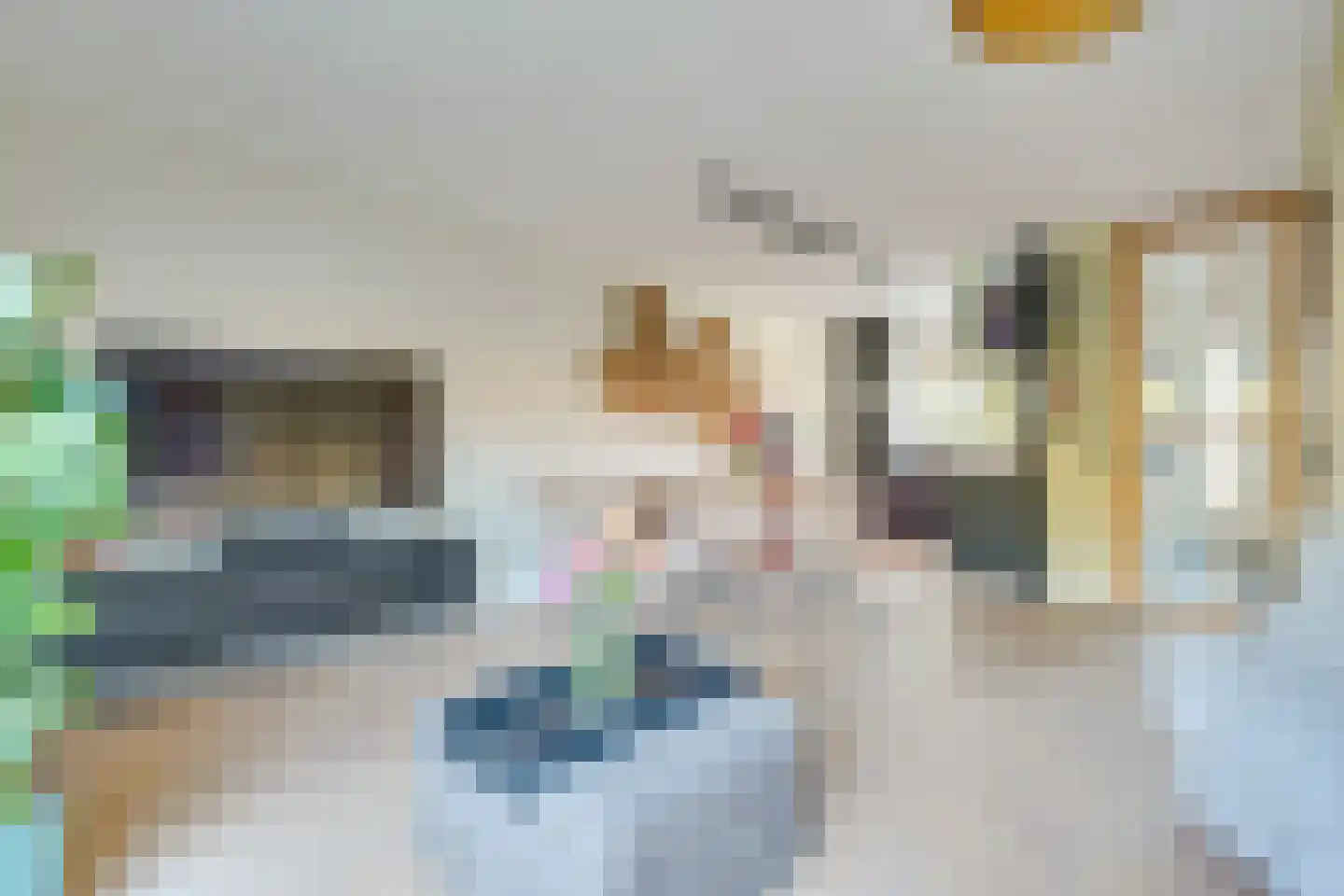 Hoefijzer 92 Zwaag thumbnail 15