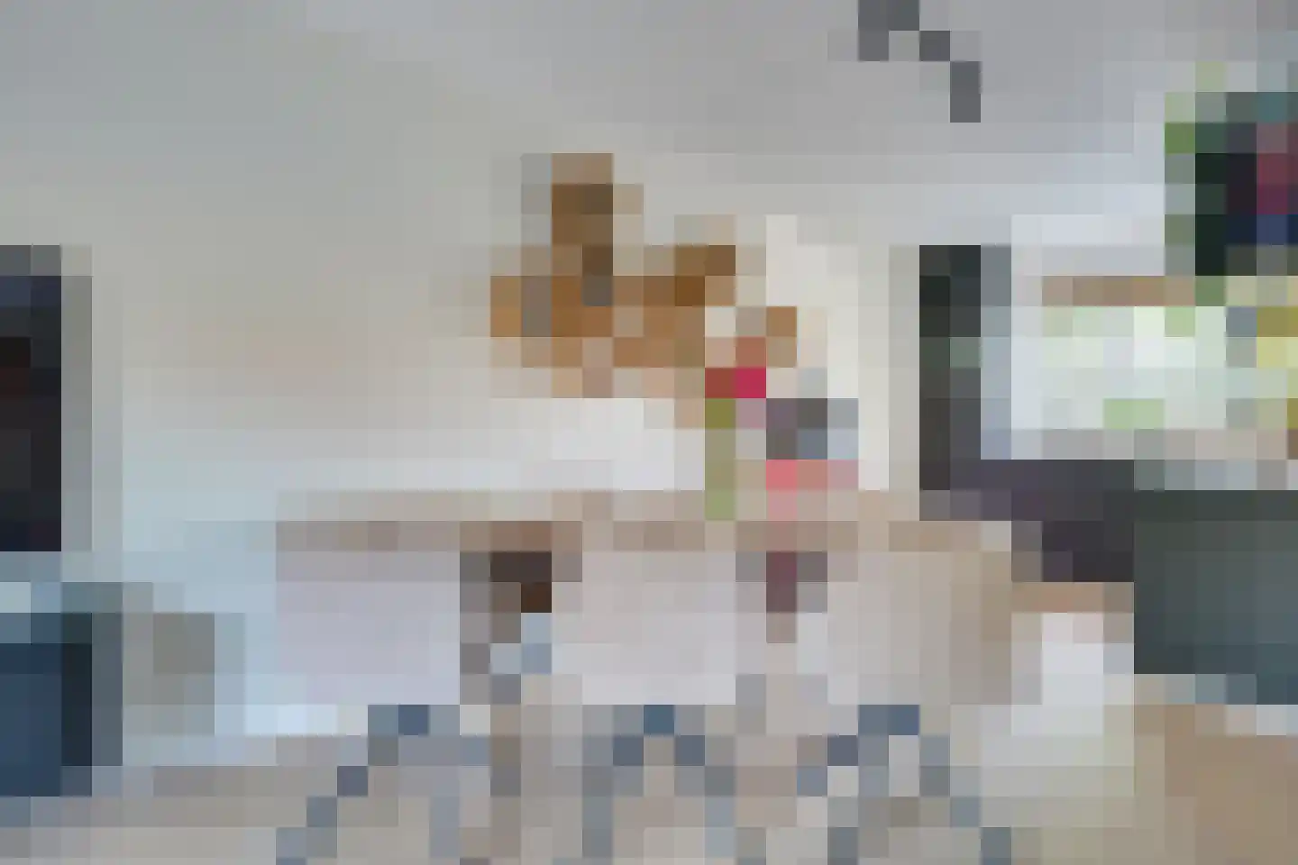 Hoefijzer 92 Zwaag thumbnail 16