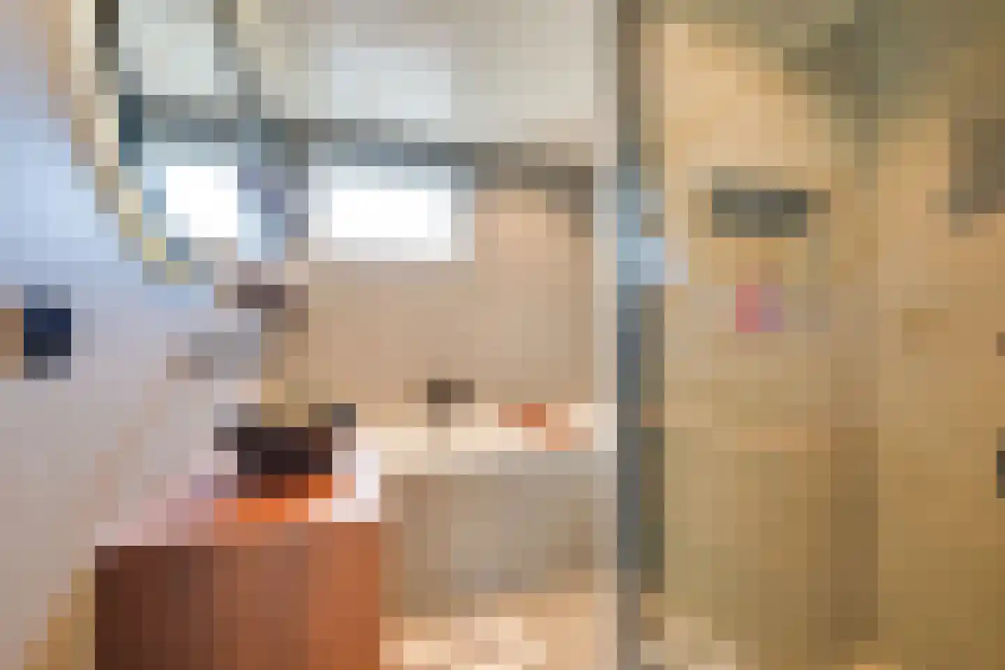 Hoefijzer 92 Zwaag thumbnail 25
