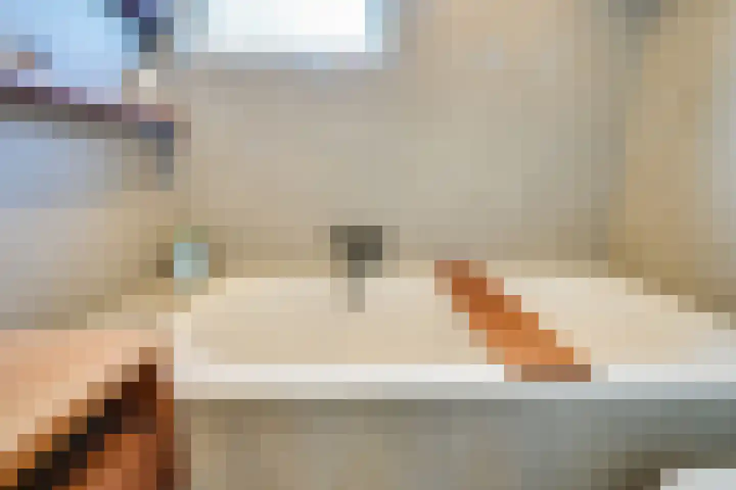 Hoefijzer 92 Zwaag thumbnail 26