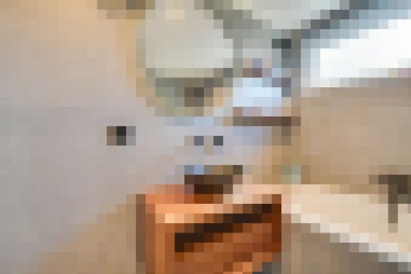 Hoefijzer 92 Zwaag thumbnail 27