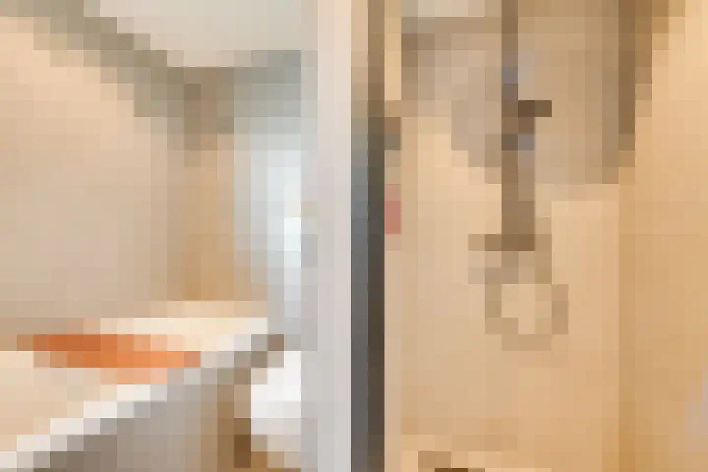 Hoefijzer 92 Zwaag thumbnail 28
