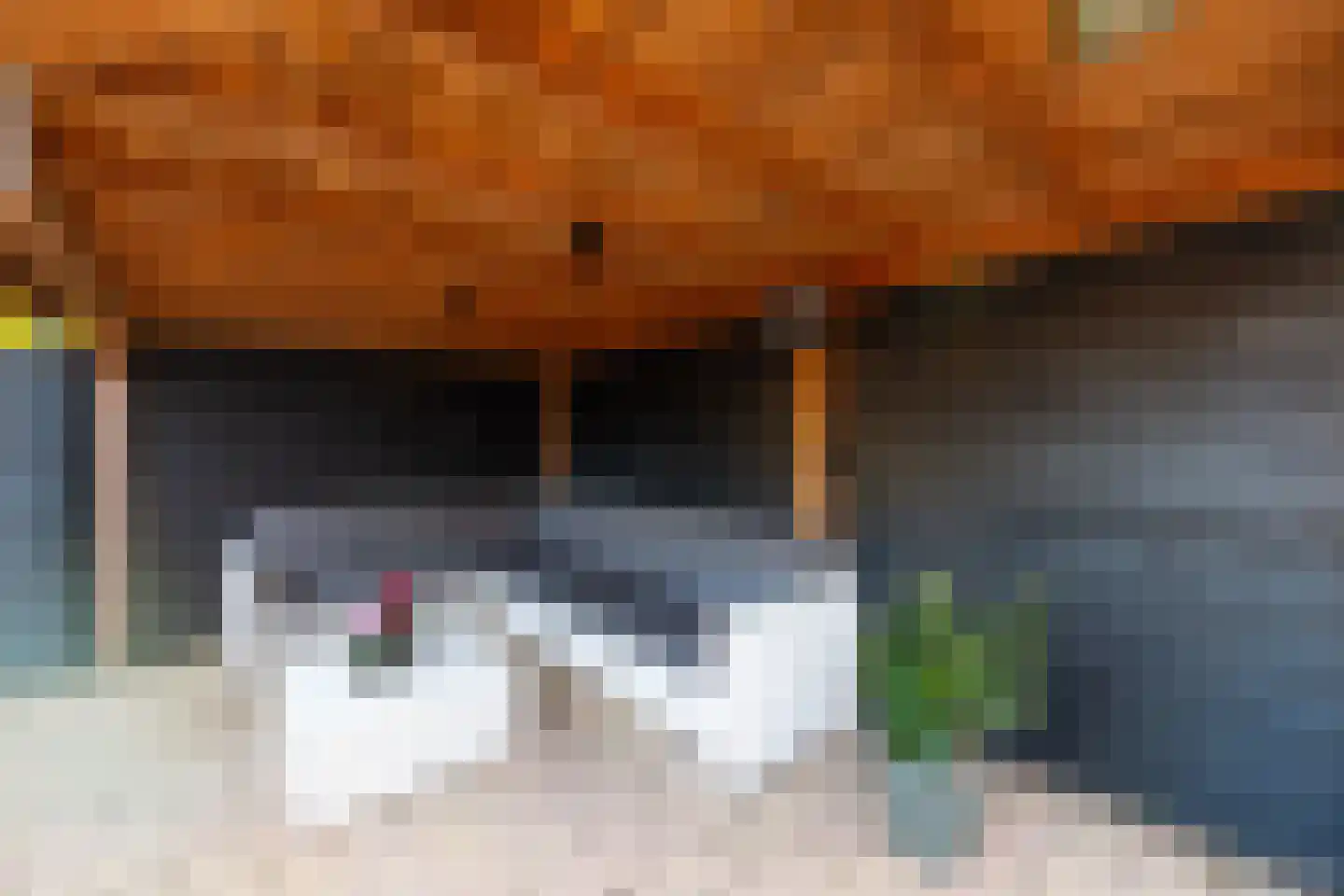 Hoefijzer 92 Zwaag thumbnail 41