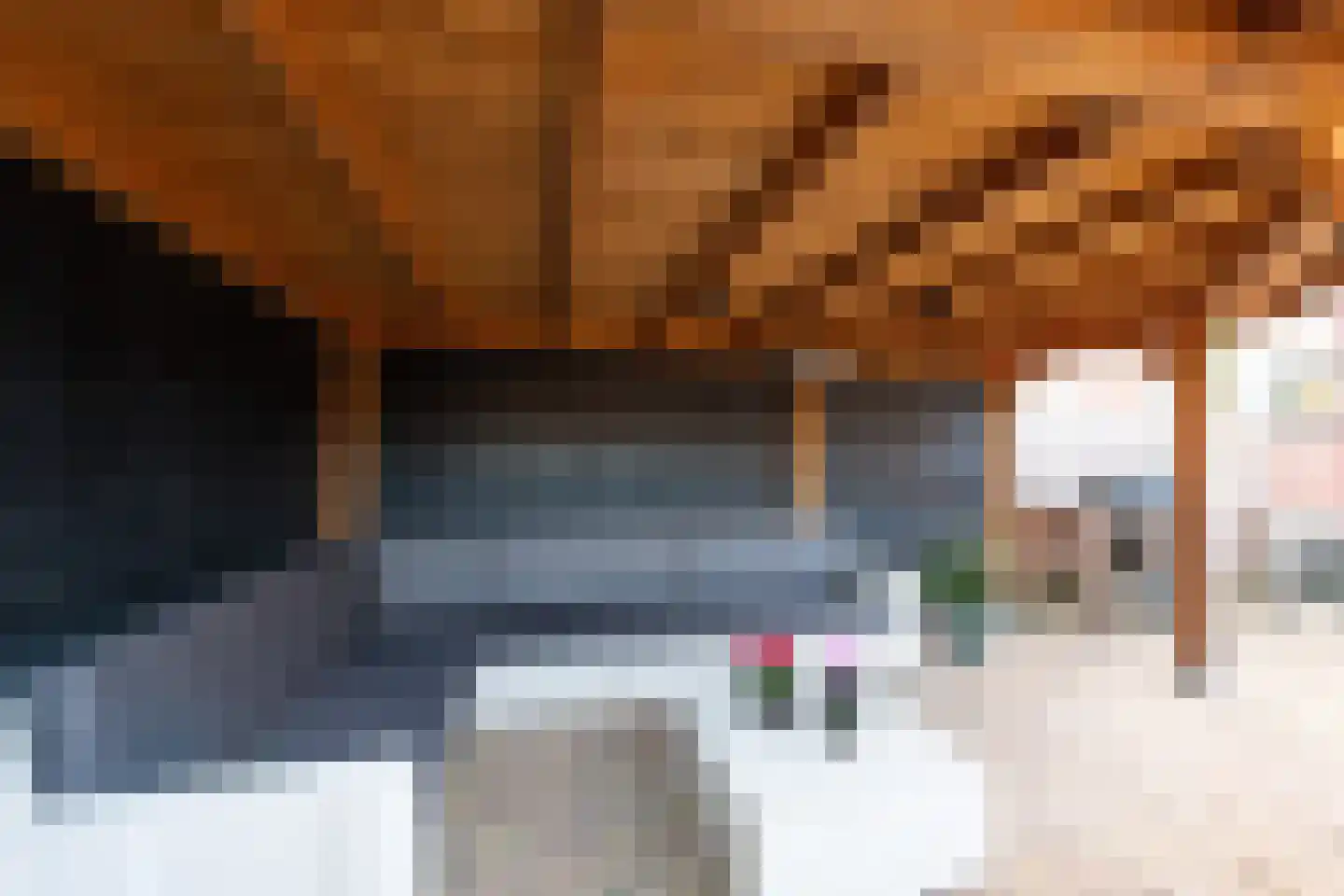 Hoefijzer 92 Zwaag thumbnail 42