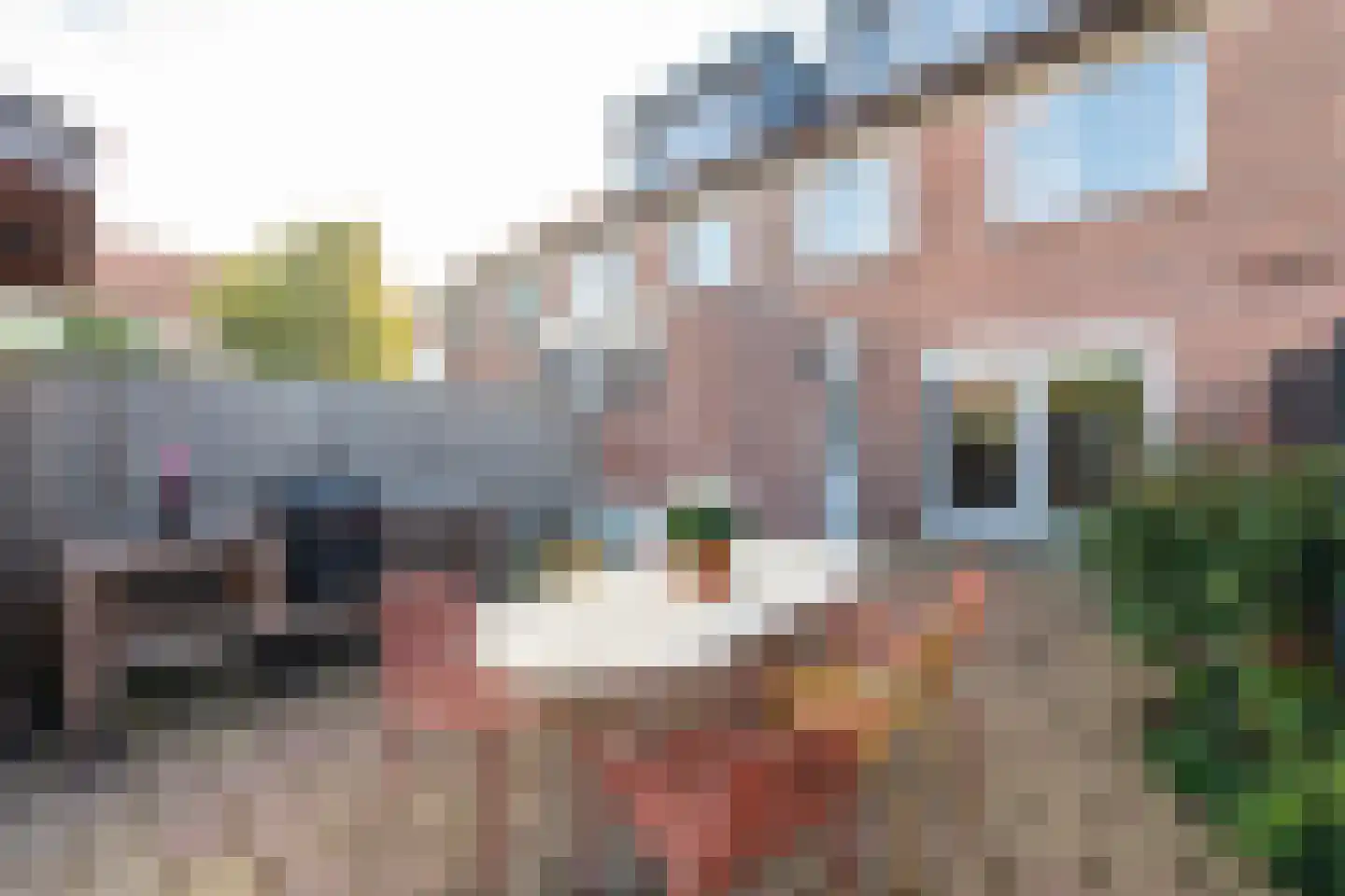 Hoefijzer 92 Zwaag thumbnail 44