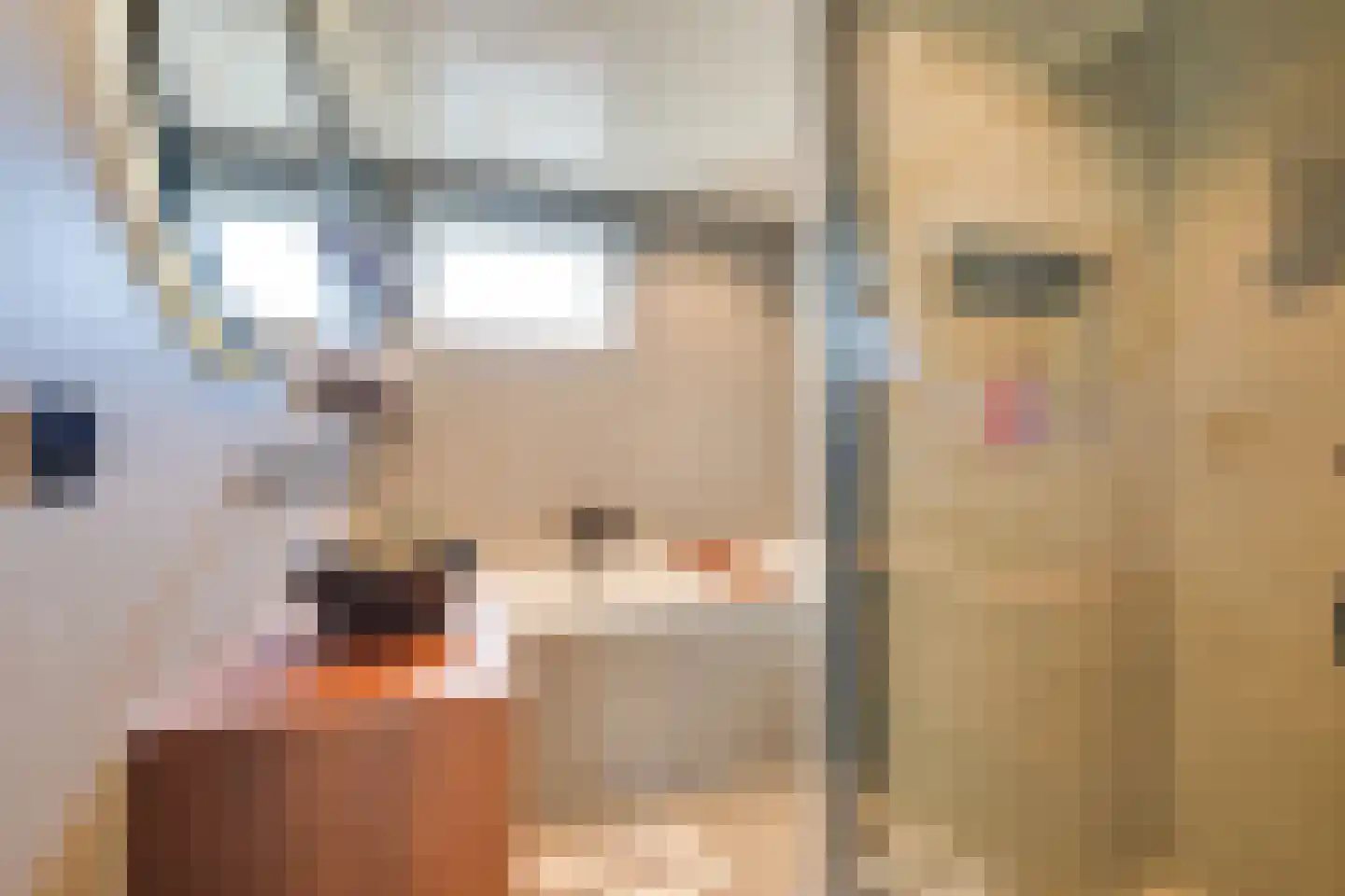 Hoefijzer 92 Zwaag thumbnail 5