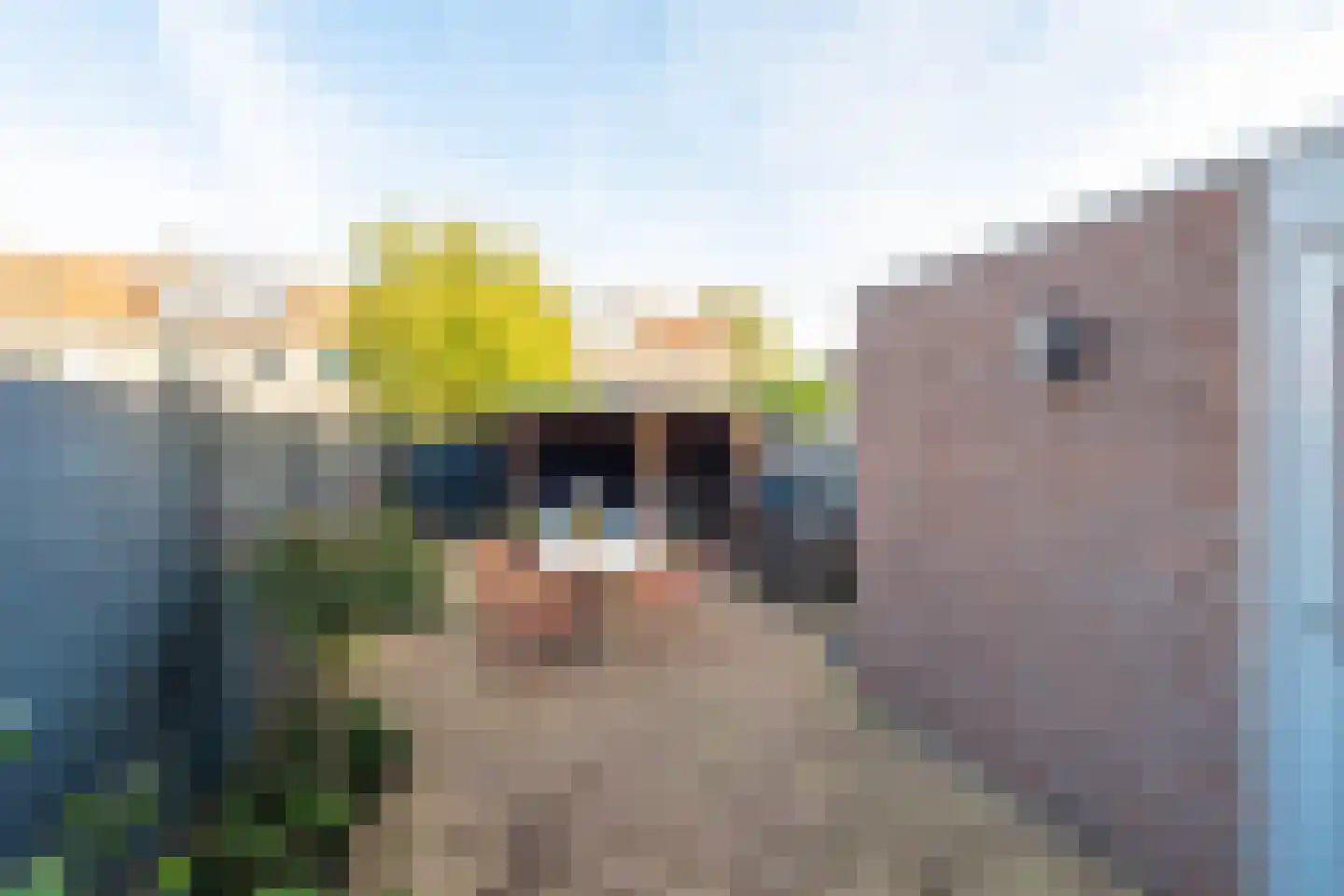 Hoefijzer 92 Zwaag thumbnail 7