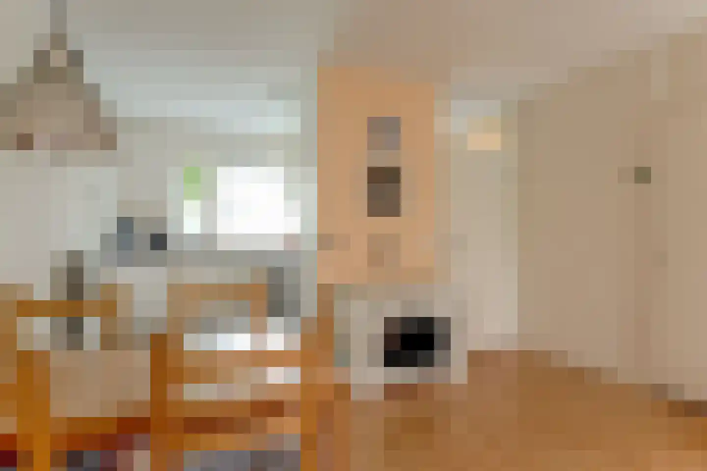 Hoefijzer 96 Zwaag thumbnail 12